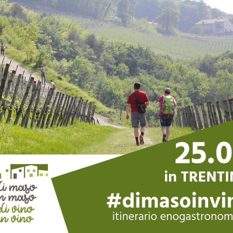 Di Maso in Maso - Intuito Marketing - Consulenza Marketing - Trentino e Cortina d'Ampezzo