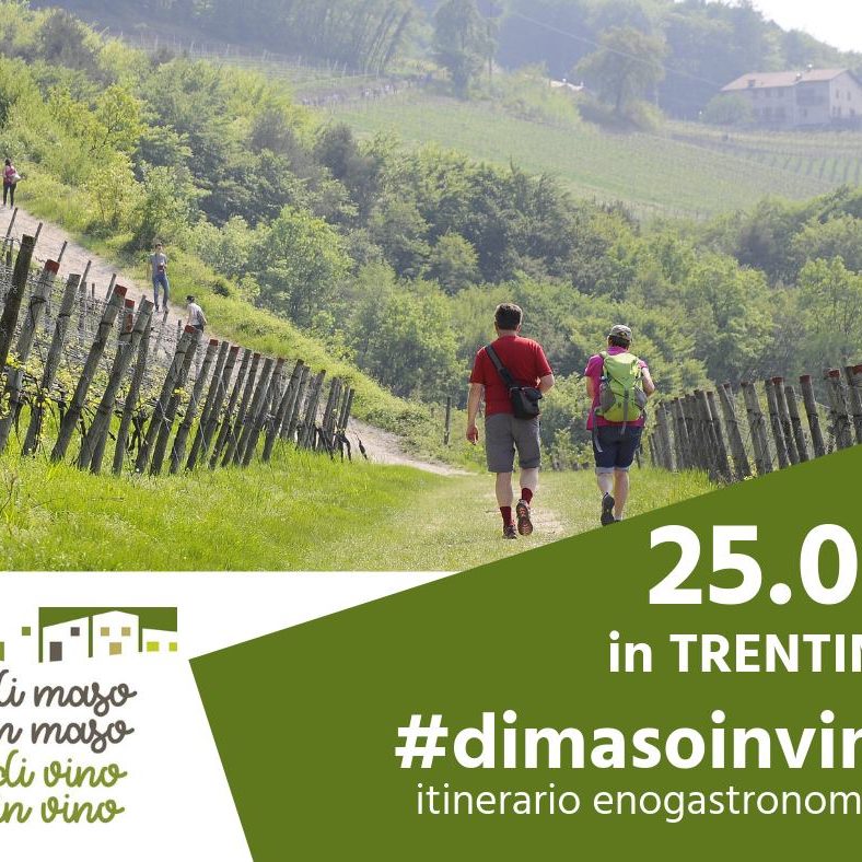 Di Maso in Maso - Intuito Marketing - Consulenza Marketing - Trentino e Cortina d'Ampezzo