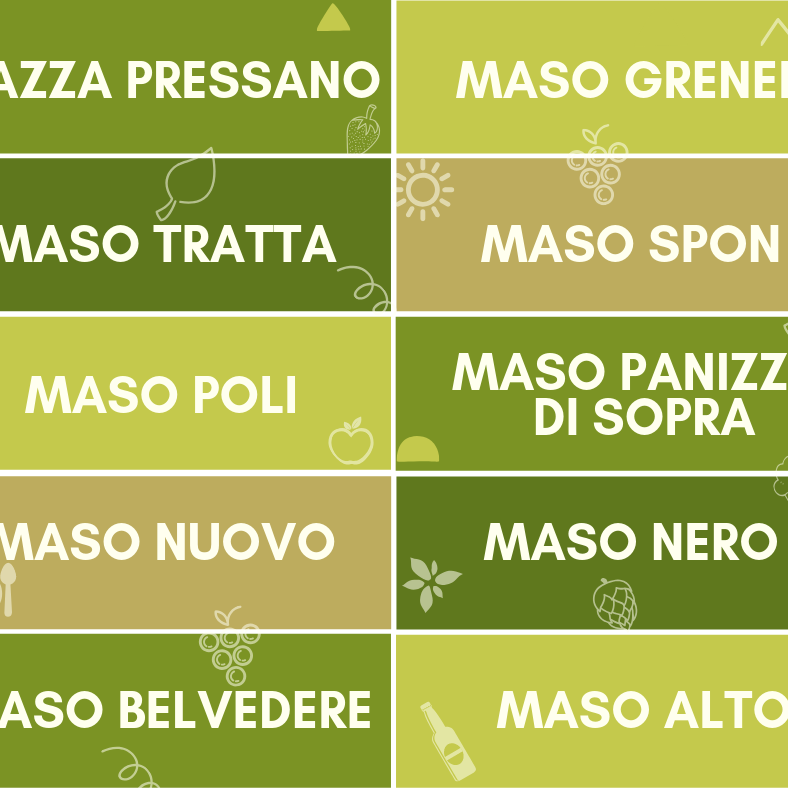 Di Maso in Maso - Intuito Marketing - Consulenza Marketing - Trentino e Cortina d'Ampezzo