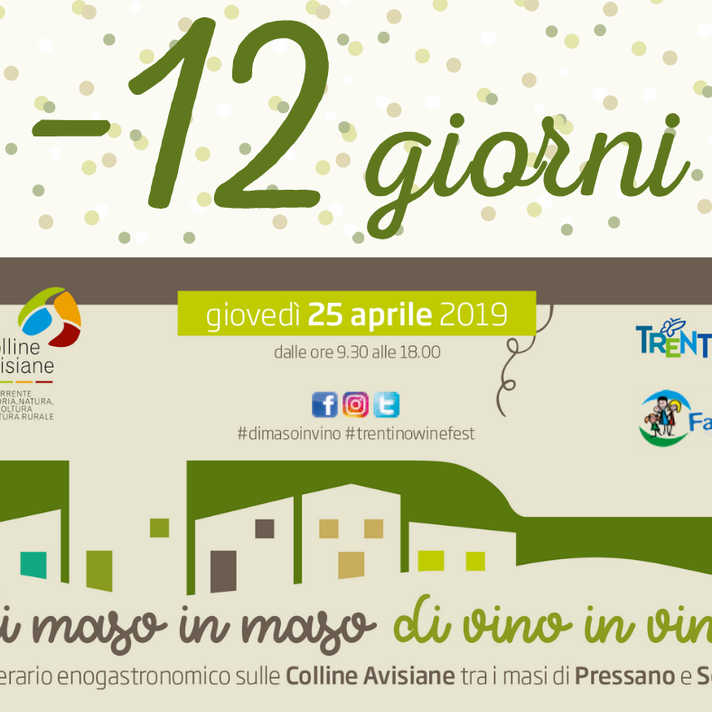 Di Maso in Maso - Intuito Marketing - Consulenza Marketing - Trentino e Cortina d'Ampezzo