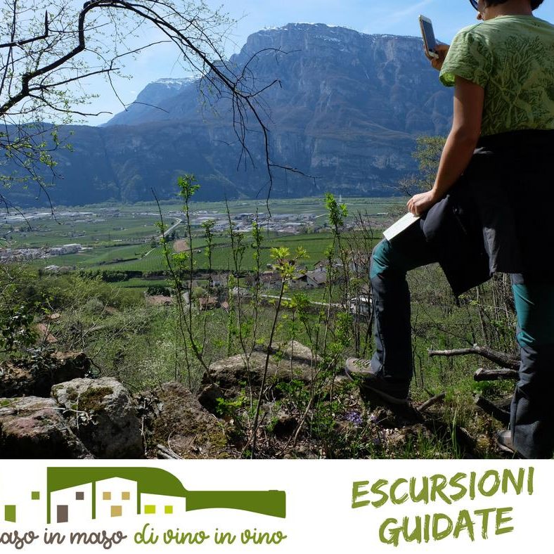 Di Maso in Maso - Intuito Marketing - Consulenza Marketing - Trentino e Cortina d'Ampezzo