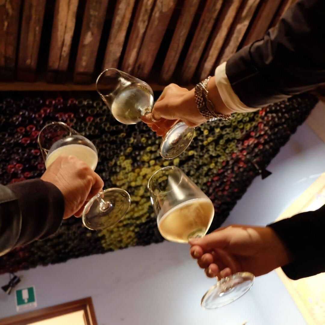 Movimento Turismo del Vino Trentino Alto Adige