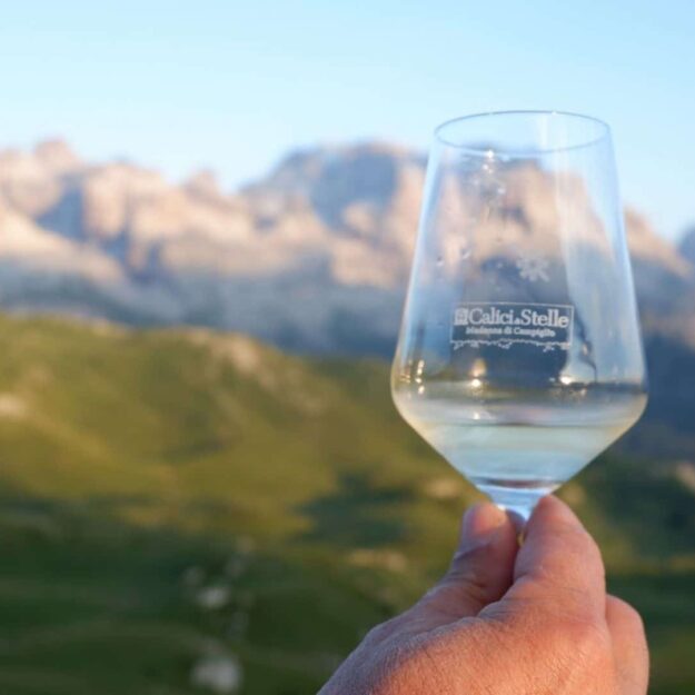 Movimento Turismo del Vino Trentino Alto Adige