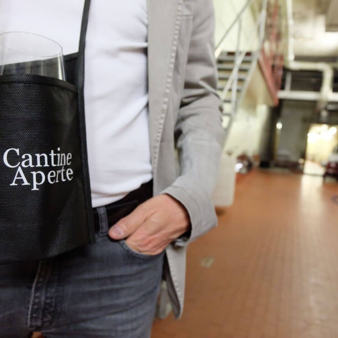 Movimento Turismo del Vino Trentino Alto Adige