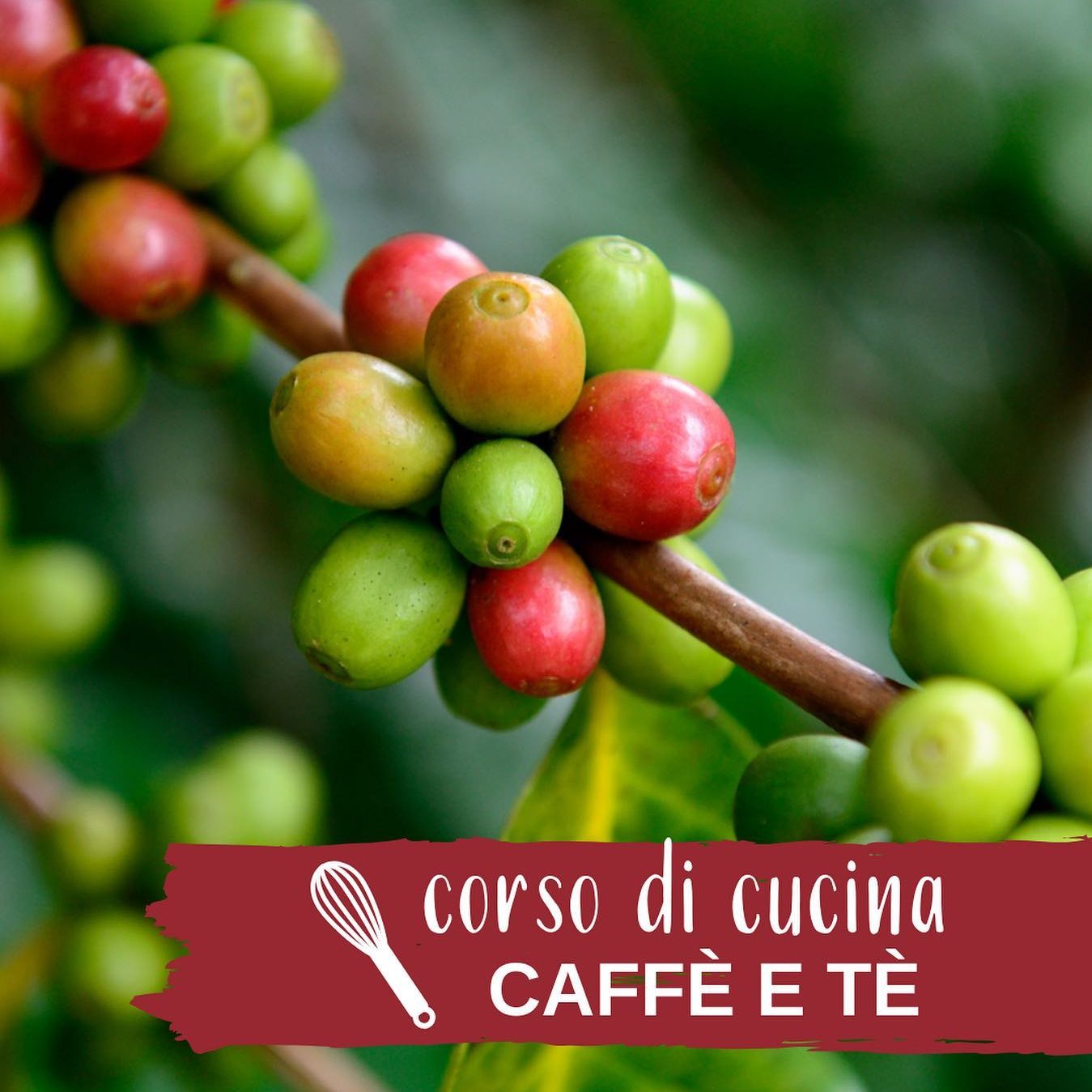 locanda 2 camini - social media - Intuito Marketing - Consulenza Marketing - Trentino e Cortina d'Ampezzo