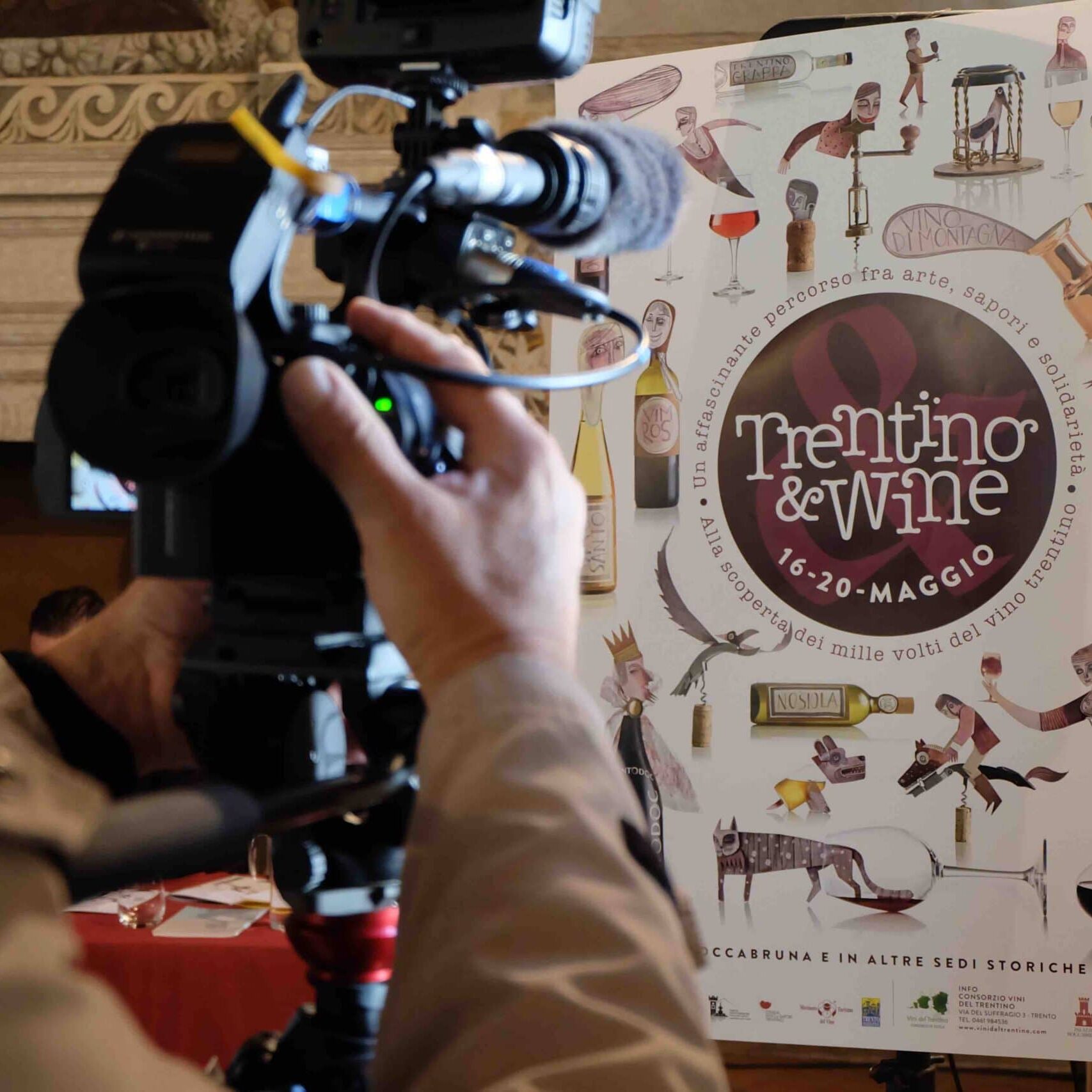 trentino&wine - mostra del vino del trentino - Intuito Marketing - Consulenza Marketing - Trentino e Cortina d'Ampezzo