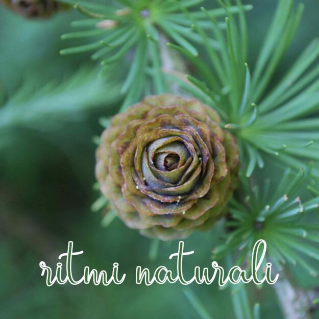 new concept strategie di marketing