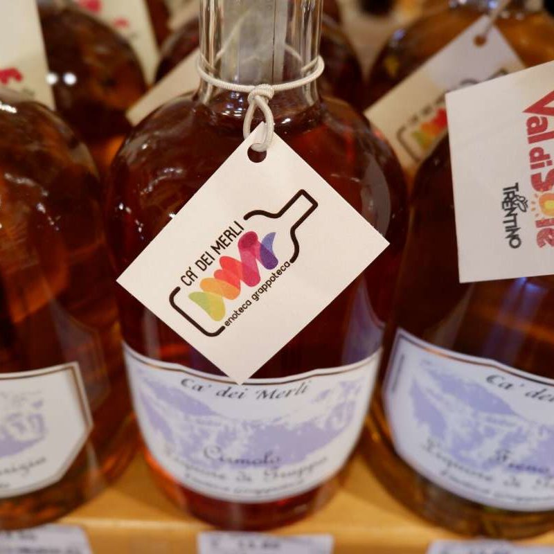 strategia di comunicazione enoteca trentino