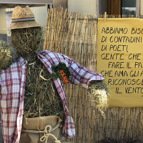 Social Media Marketing - Cadore Natura - Calalzo di Cadore