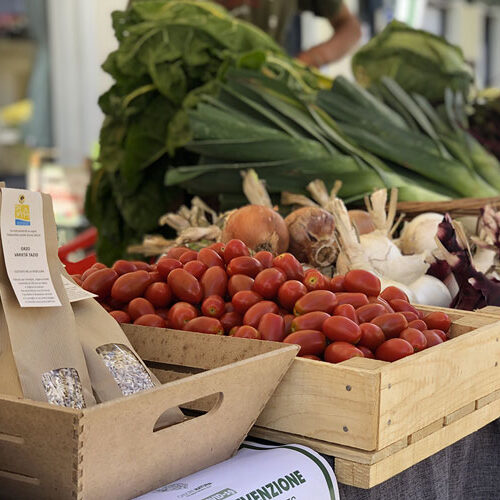 Social Media Marketing - Cadore Natura - Calalzo di Cadore