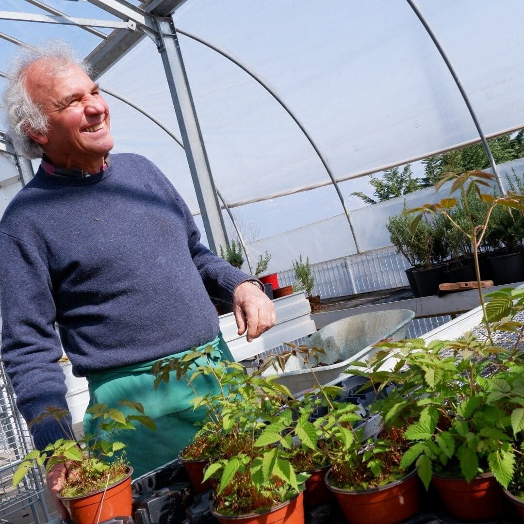 natura trentino vivai passerini