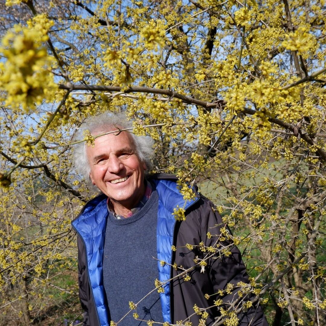 natura trentino vivai passerini