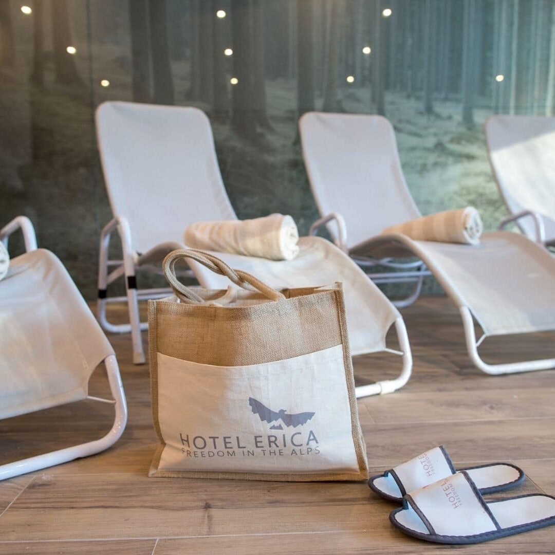 hotel erica freedom in the alps