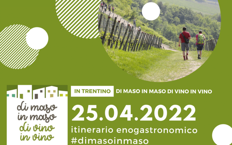 di maso in maso di vino in vino