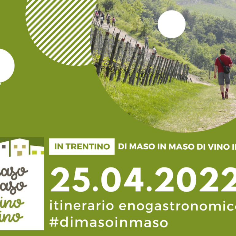 di maso in maso di vino in vino