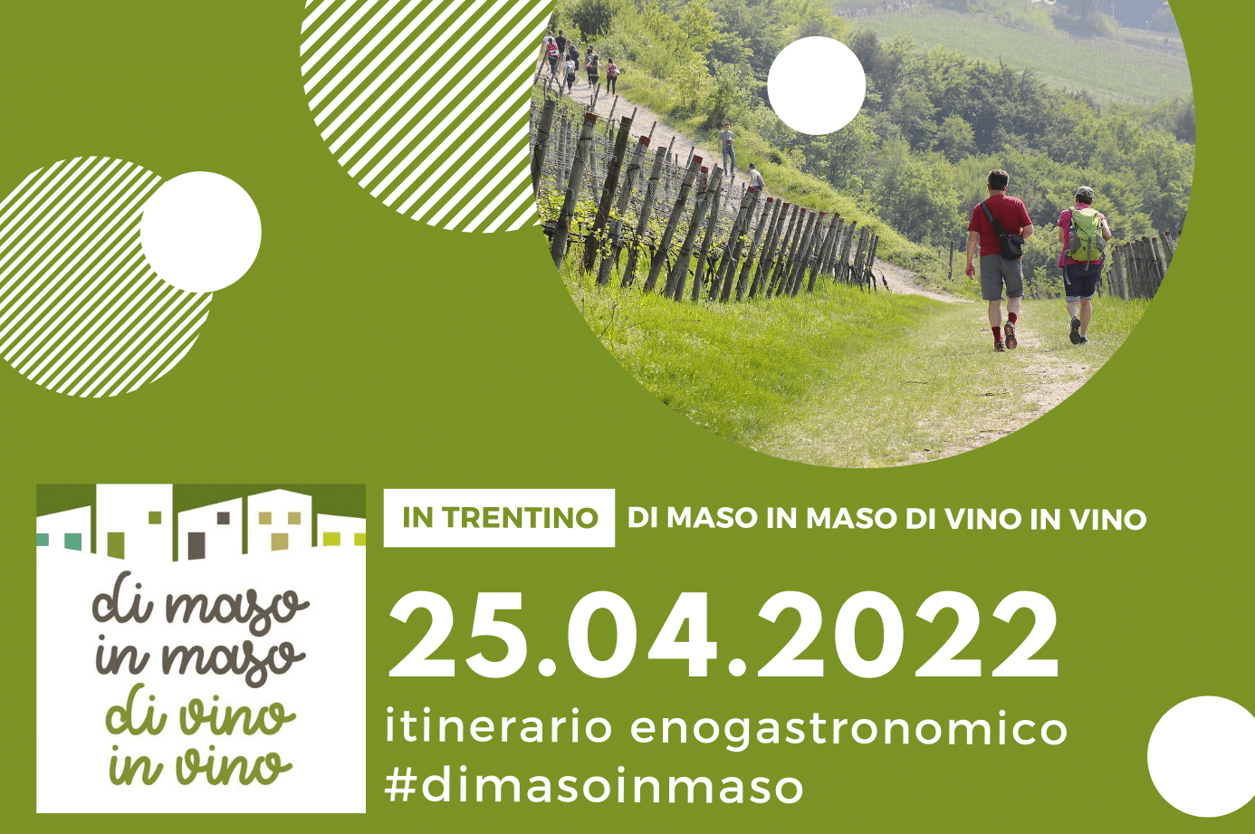 di maso in maso di vino in vino